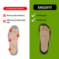 ErgoFit Active - الدعم الأمثل والراحة التامة